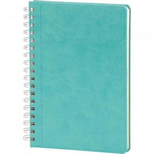 Spiralli Tarihsiz Defter ( 17 x 24 cm )