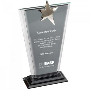 Kristal Plaket ( 13 x 23 cm )